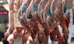 Οι κτηνοτρόφοι προειδοποιούν για ελλείψεις αμνοεριφίων ενόψει Πάσχα