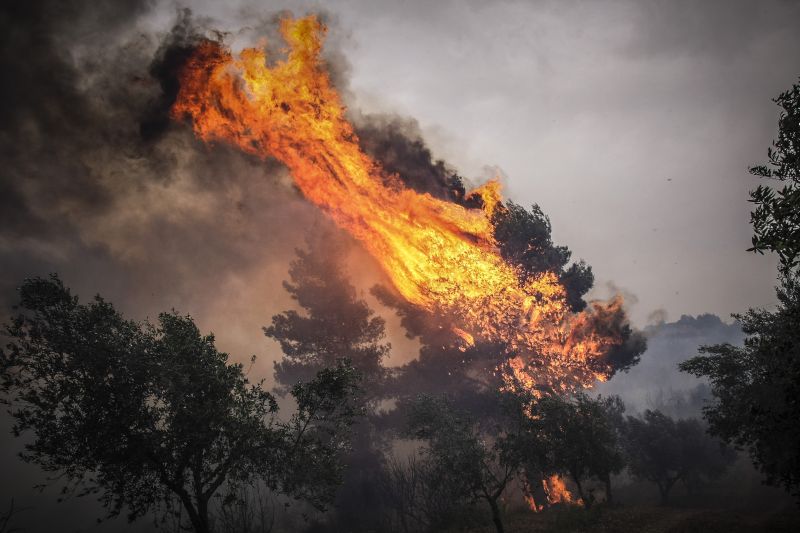 Συνελήφθη 46χρονος για την πυρκαγιά στη Φρίξα Ηλείας