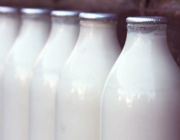 Γάλα «8 γυναίκες», το πρώτο… γυναικείο γάλα από γνήσιες καουμπόισσες!
