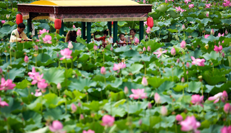 Ολάνθιστος κήπος έγινε ένας χώρος ταφής απορριμμάτων στην Κίνα