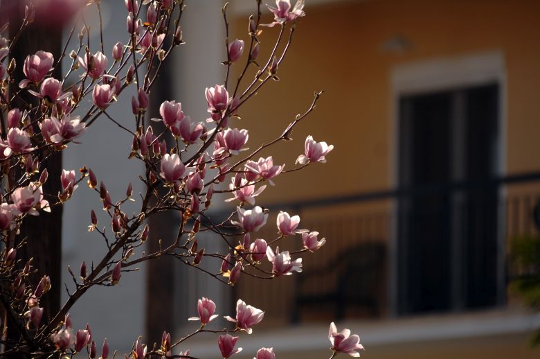 Οι αντικειμενικές σε όλη την Αττική -Πού μειώνονται και πού αυξάνονται