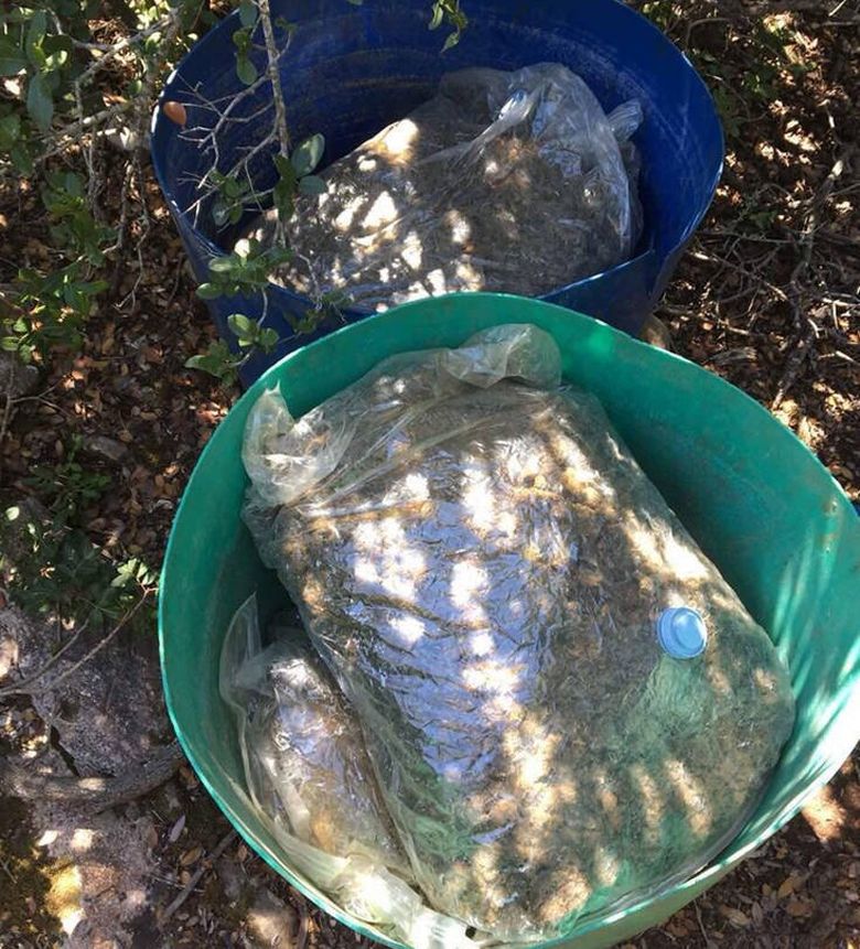 Εντόπισαν ναρκωτικά μέσα σε…κουβάδες