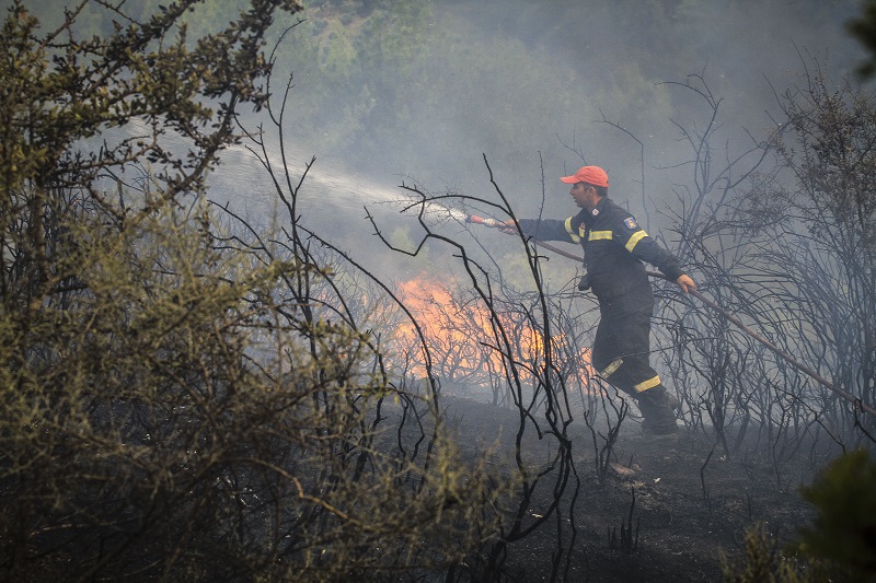Στάχτη το δάσος – Ολονύχτια μάχη με τις φλόγες στη Πάτρα