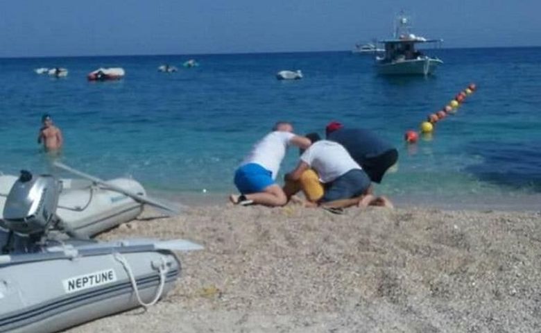 Άγριο ξύλο σε ειδυλιακή παραλία της Λευκάδας