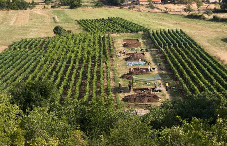 Βρέθηκε τυρί 7.000 χρόνων τύπου φέτα