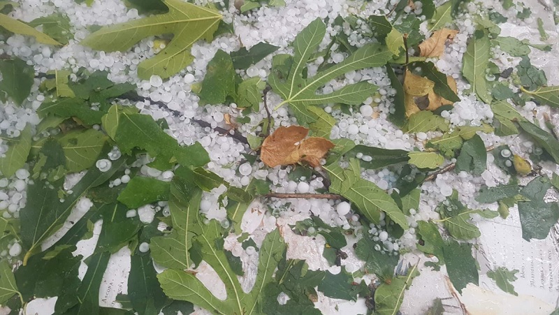 Χαλάζι και δυνατοί άνεμοι στον Τύρναβο