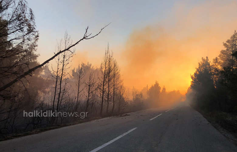 Πύρινος όλεθρος στη Σιθωνία Χαλκιδικής – Σε ετοιμότητα για εκκένωση περιοχών