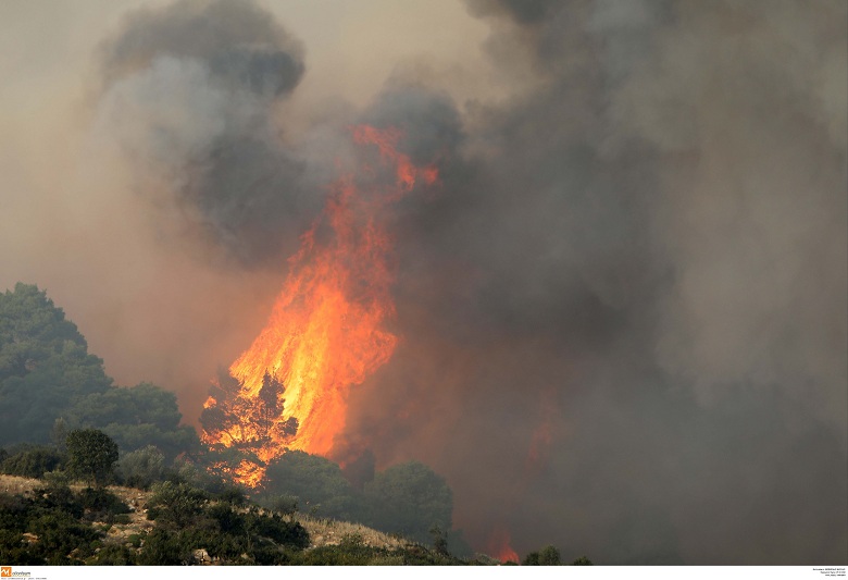 Πυρκαγιά σε δασική έκταση στις Λογγιές Τρικάλων