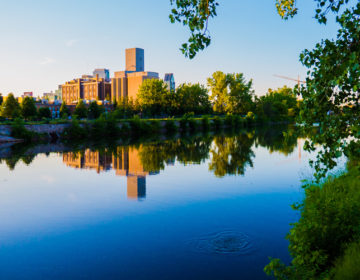 Σε αυτή την πόλη μπορείς να πιεις ένα… Χριστουγεννιάτικο δέντρο!