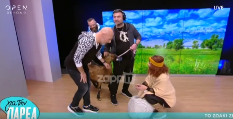 Κατσίκα εισέβαλε στο πλατό του Μουτσινά