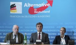 Άνοδος του ακροδεξιού AfD καταγράφεται στη Γερμανία