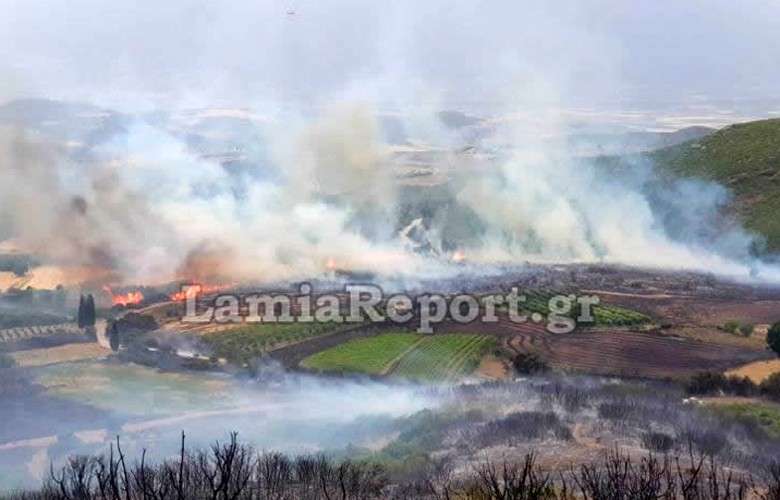 Μεγάλη φωτιά απείλησε σπίτια στο χωριό Δίβρη, βόρεια της Λαμίας
