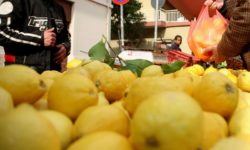 Υπερβολικά φυτοφάρμακα στο 35,3% των τουρκικών φορτίων φρούτων και λαχανικών που εισήχθησαν στην ΕΕ