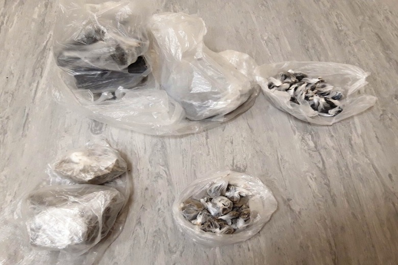 Κατάπιε 46 φιξάκια ηρωίνης για να μην συλληφθεί