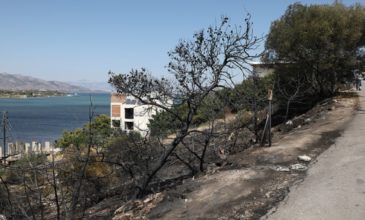 Φωτιά απειλεί κατοικίες στην Αγία Τριάδα στα Μέγαρα