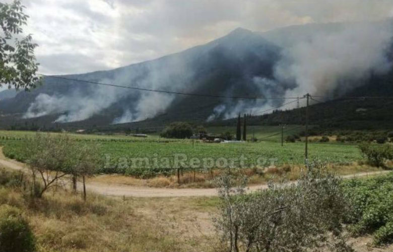 Εμπρηστές «απειλούν» τον Παρνασσό