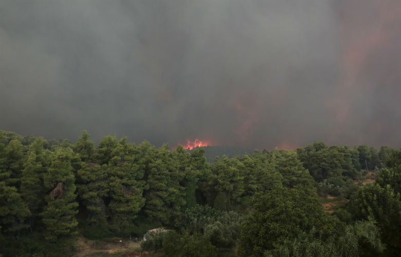 Με μπουλντόζες σταμάτησαν τη φωτιά προς τα Ψαχνά Ευβοίας