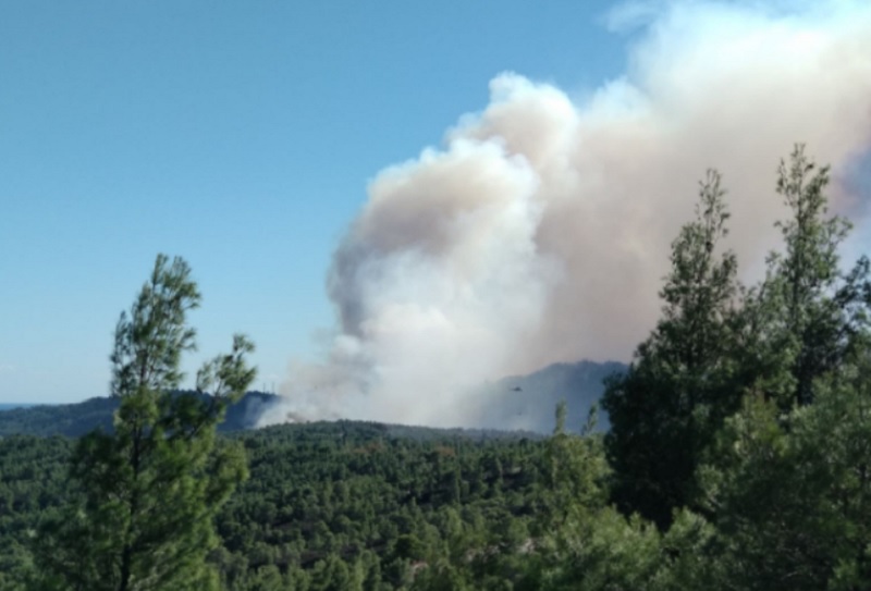 Πυρκαγιά σε δύσβατη περιοχή στα Καλάβρυτα