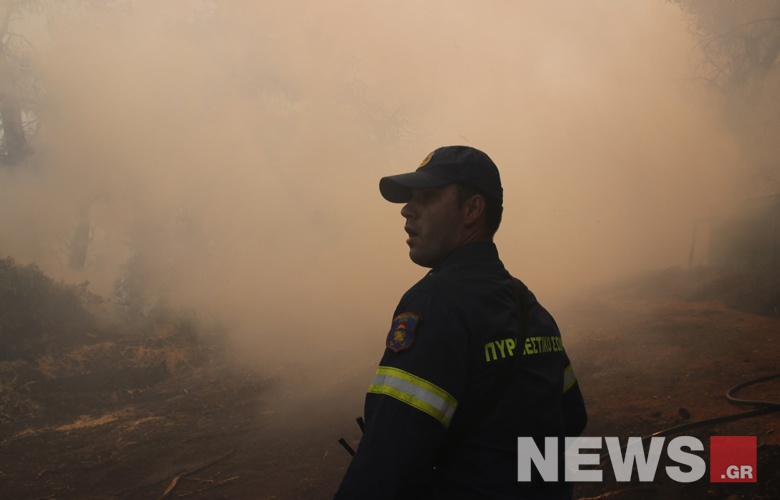 «Μάχη» της Πυροσβεστικής να κόψει τη πορεία της φωτιάς προς το χωριό Πλατάνα