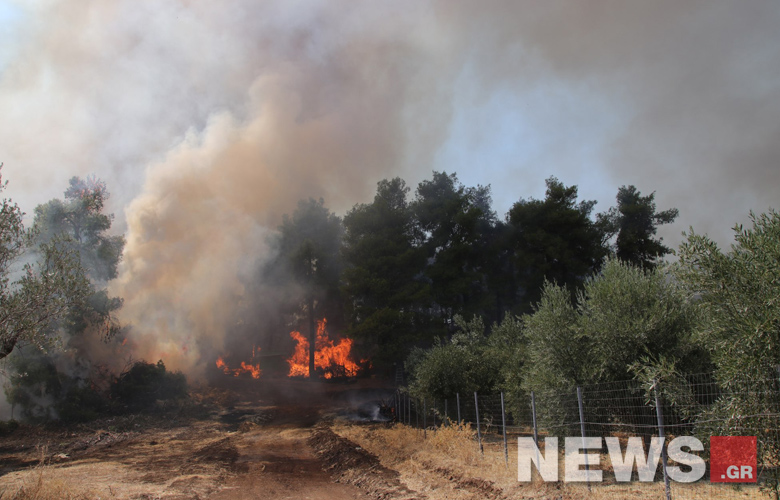 Ανθρώπινο χέρι πίσω από τη μεγάλη φωτιά της Εύβοιας;