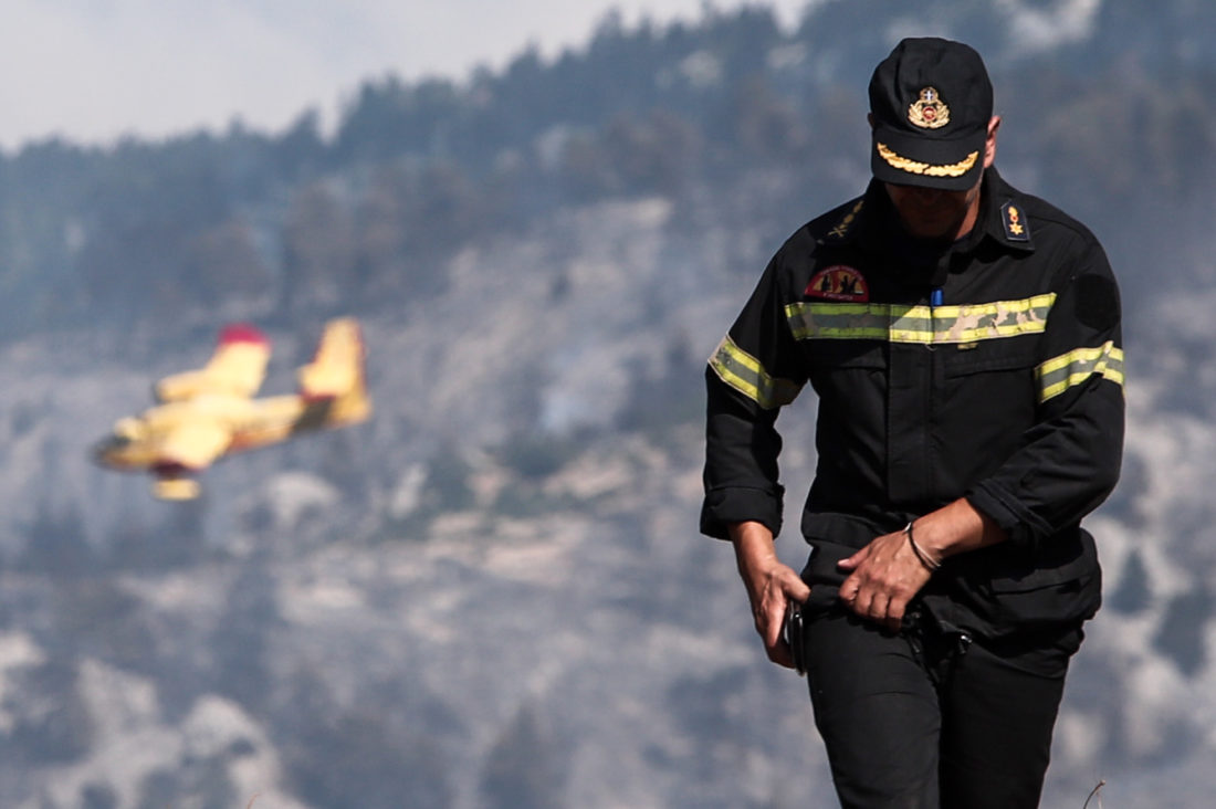 Στα όρια του καταφυγίου άγριων ζώων έφτασε η φωτιά στην Εύβοια