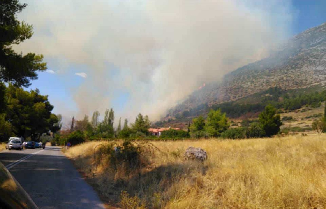 Συναγερμός στη Φωκίδα – Στον Παρνασσό κατευθύνεται η φωτιά από τους Δελφούς