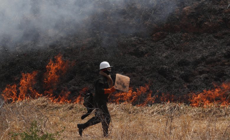 Πυρκαγιές στον Αμαζόνιο: Ποιοι και πως επωφελούνται από την καταστροφή του δάσους στη Βραζιλία;