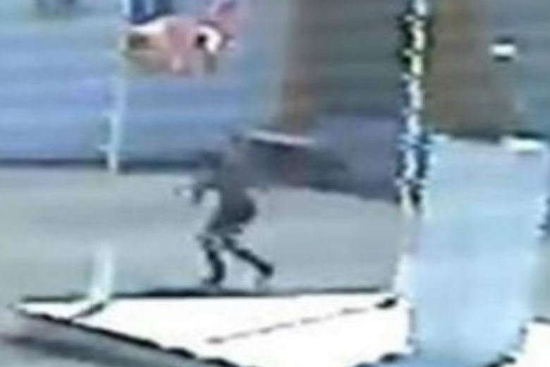 Γκρίζοι Λύκοι απειλούν για τον 16χρονο που κατέβασε την τουρκική σημαία
