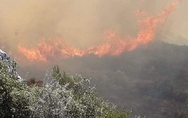 Συναγερμός στη Ζάκυνθο για πύρινο μέτωπο προς το χωριό Κερί
