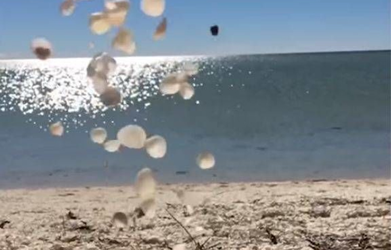Η Shell Beach στις καλύτερες παραλίες του κόσμου από το National Geographic