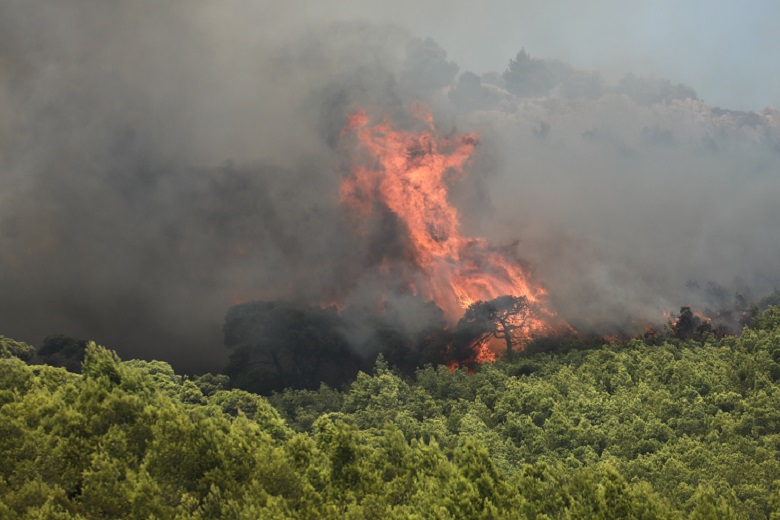 Μαίνεται φωτιά στη Δυτική Αχαΐα