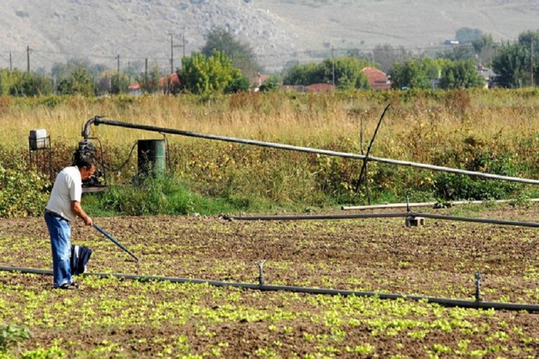 Πότε πιστώνεται το 70% της βασικής ενίσχυσης στους αγρότες για το 2019