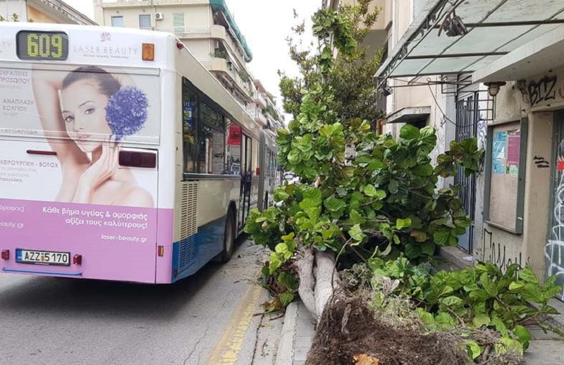 Οι θυελλώδεις άνεμοι έριξαν κολόνες και δένδρα στην Πάτρα