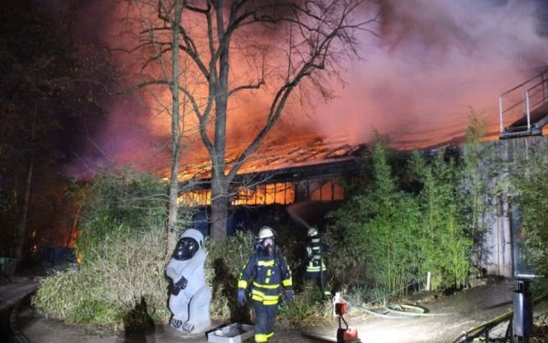 Κινέζικα φαναράκια προκάλεσαν την πυρκαγιά και τον θάνατο δεκάδων ζώων