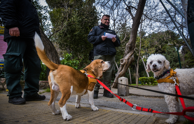 Απαγόρευση κυκλοφορίας: Τι πρέπει να κάνετε για να βγείτε από το σπίτι