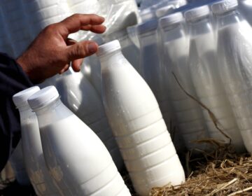 Σταματά από την Πέμπτη η αγορά γάλακτος και των παραγώγων του σε όλη τη Λέσβο, λόγω του αφθώδους πυρετού