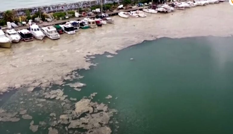 Επικίνδυνη γλίτσα «πνίγει» τη θάλασσα του Μαρμαρά – «Καμπανάκι» από τους επιστήμονες