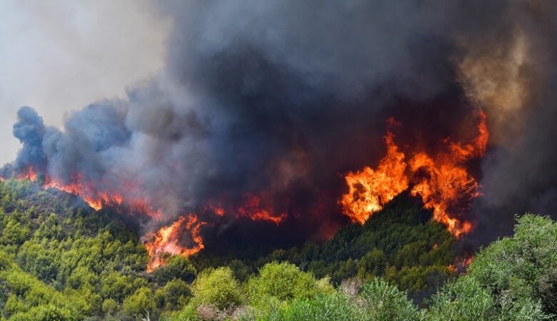 Φωτιά στην Ηλεία: Εντολή εκκένωσης του χωριού Λάλα – Στα πρώτα σπίτια του Λάσδικα οι φλόγες