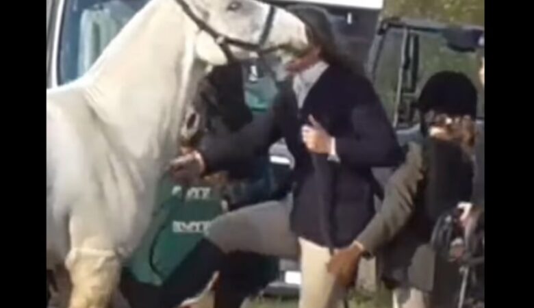 Οργή στην Αγγλία με γυναίκα κυνηγό να κλωτσάει και να χτυπάει το άλογό της