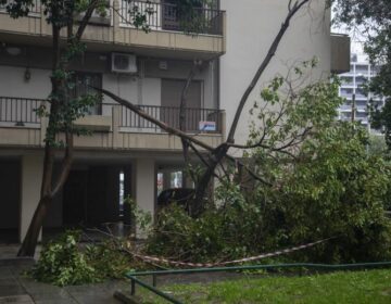 Πτώσεις δέντρων από τους ισχυρούς ανέμους στην Θεσσαλονίκη