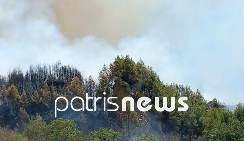 Μεγάλη φωτιά στην Ηλεία – Τρία τα πύρινα μέτωπα – Μήνυμα από το 112 για εκκένωση τεσσάρων οικισμών