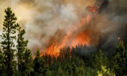 Καναδάς: Η βροχή επιβράδυνε την εξάπλωση της μεγάλης δασικής πυρκαγιάς που απειλεί την πετρελαιοπαραγωγική πόλη Φορτ Μακμέρι