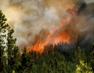 Καναδάς: Η βροχή επιβράδυνε την εξάπλωση της μεγάλης δασικής πυρκαγιάς που απειλεί την πετρελαιοπαραγωγική πόλη Φορτ Μακμέρι