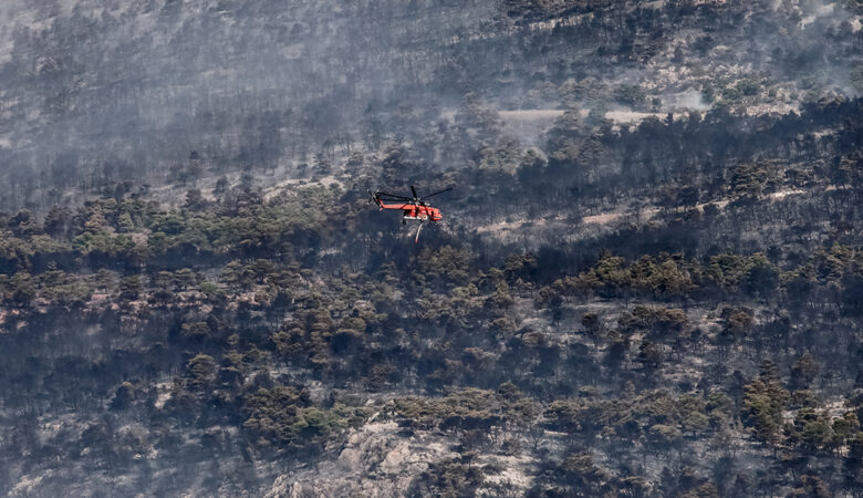 Στοιχεία σοκ για τις φωτιές: Περισσότερα από 1.200.000 στρέμματα έχουν καεί στην Ελλάδα μέσα στο 2023