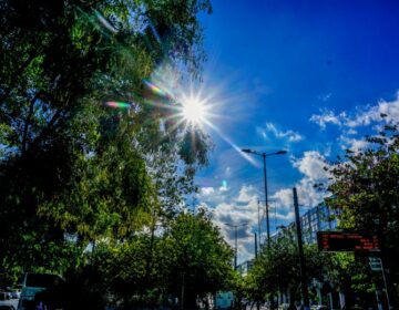 Καιρός: Άνοιξη στην «καρδιά» του χειμώνα για την Κυριακή, 8 Φεβρουαρίου 2026 – Ανεβαίνει η θερμοκρασία