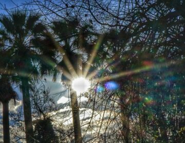 Ζεσταίνει η ατμόσφαιρα, μέχρι και τους 23 βαθμούς Κελσίου η θερμοκρασία σήμερα