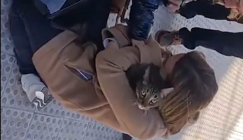 Οκτώ ημέρες μετά τη φονική φωτιά στη Βαλένθια οι πυροσβέστες βρήκαν επιζώντα έναν γάτο – Δείτε βίντεο