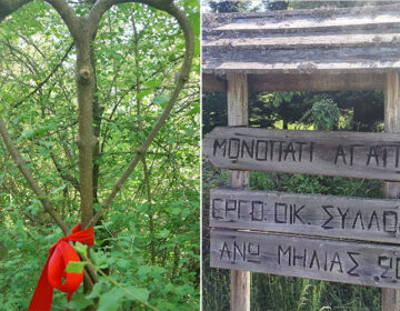 Καρδιές από κρανιές στο Μονοπάτι της Αγάπης στο βουνό των Μουσών στην Πιερία – Δείτε τις μαγευτικές εικόνες