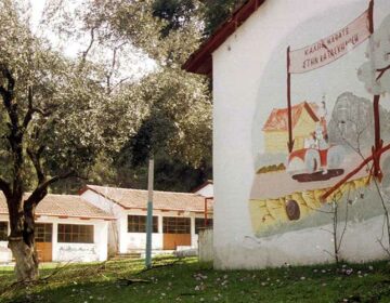 Ανακοινώθηκαν τα οριστικά αποτελέσματα για το κατασκηνωτικό πρόγραμμα της ΔΥΠΑ