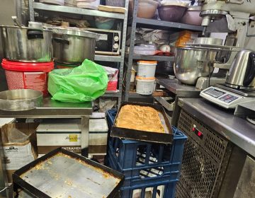 Κατασχέθηκαν 12 τόνοι ακατάλληλων προϊόντων από την Περιφέρεια Αττικής – Δείτε φωτογραφίες